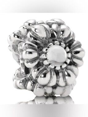 NWOT Pandora  Birthday Blooms Charm April Crystal